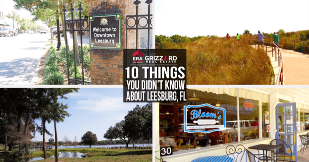 10 things you didn't know about leesburg.png