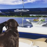 Boating_Dogs_Clermont_Florida.jpg