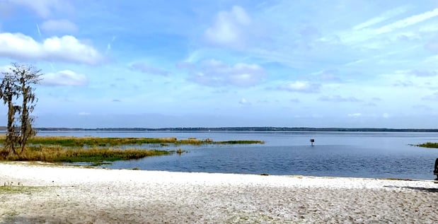 lake louisa clermont florida.jpeg