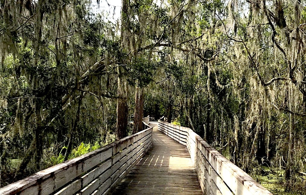 trail on lake louisa state park clermont