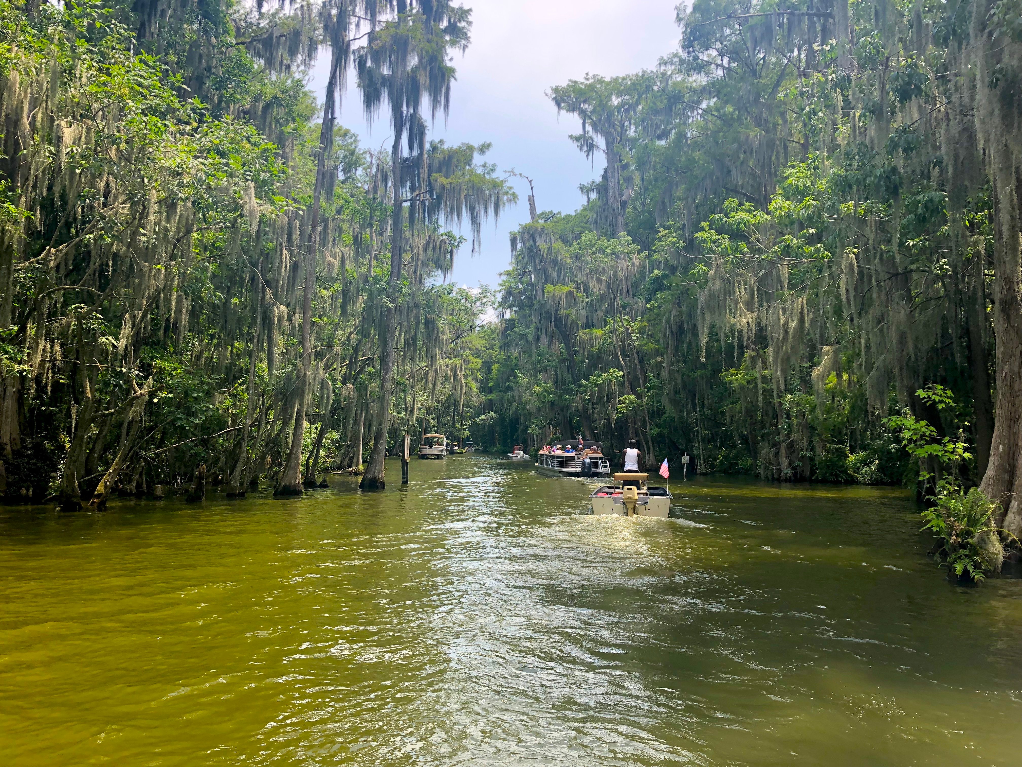 Dora canal_lake county fl 2