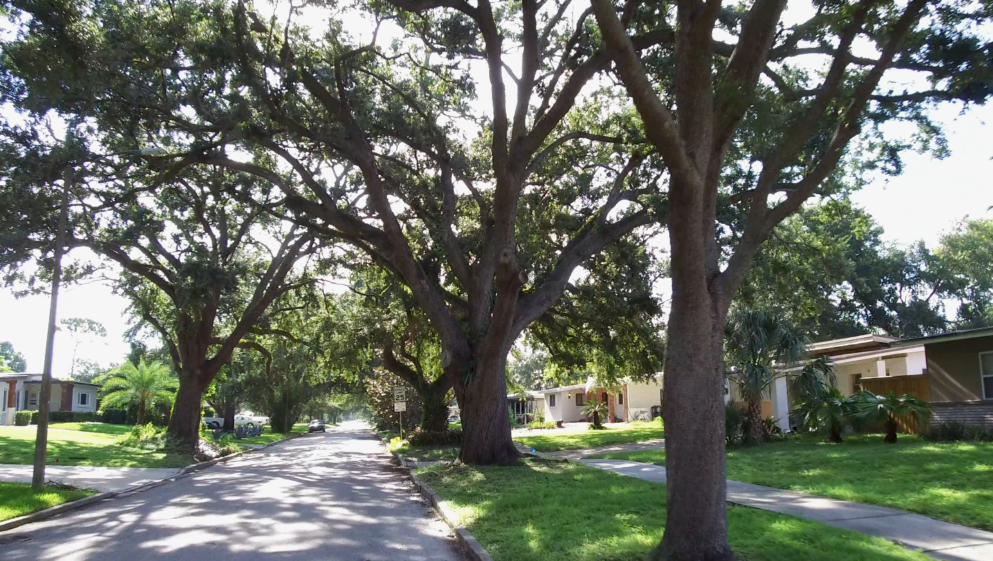 Historic homes audubon park