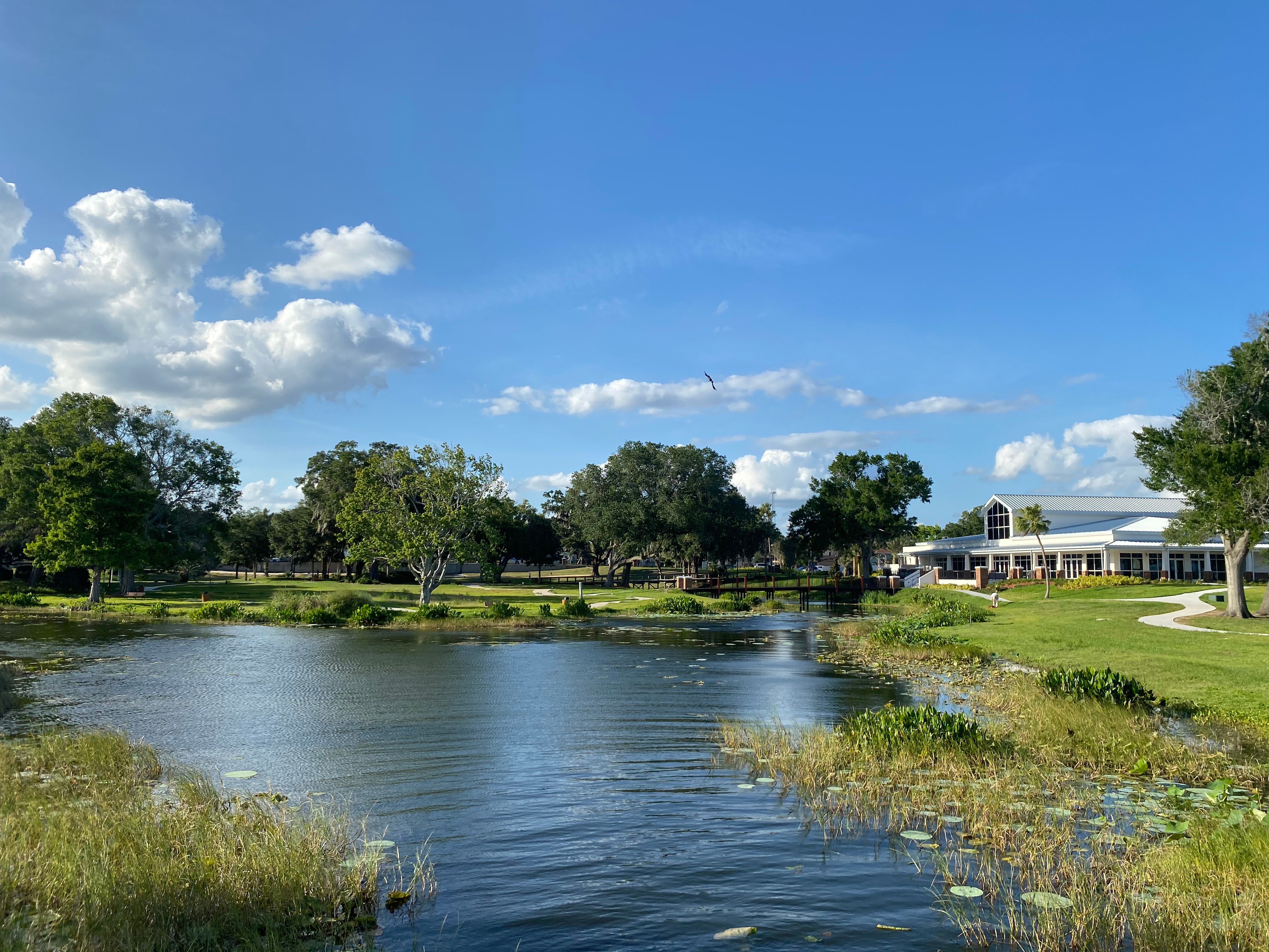 places to visit in leesburg florida