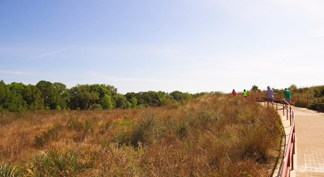 hikers in pear park leesburg florida