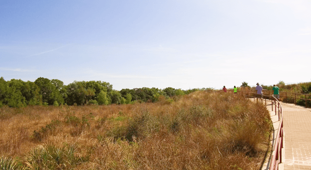 hikers in pear park leesburg florida.png