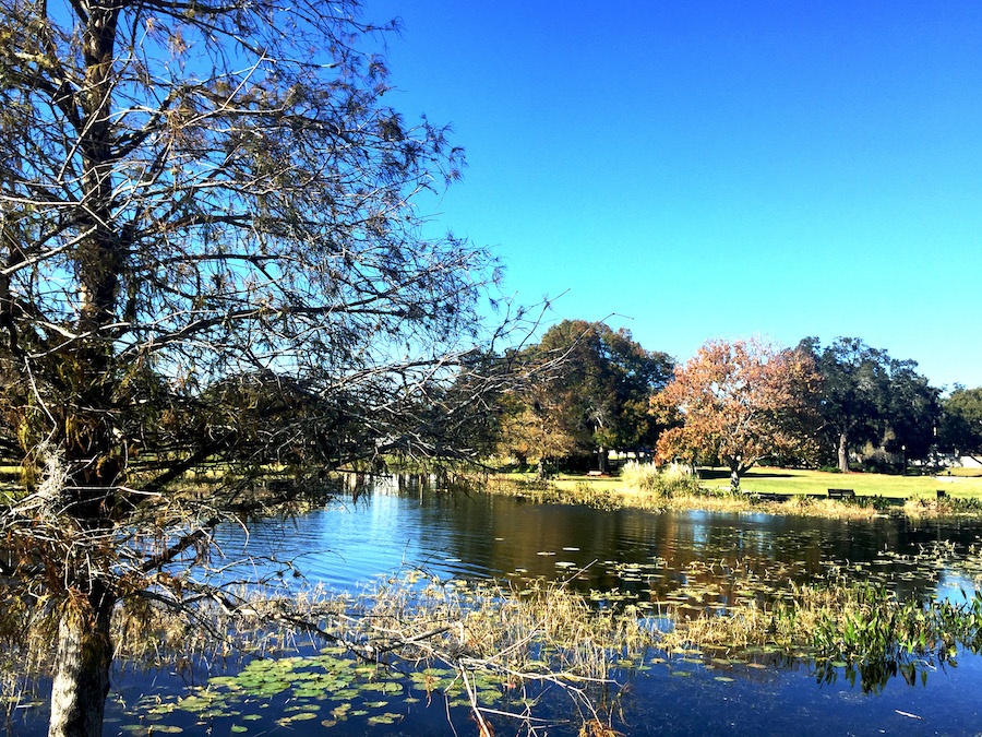 historic landmark in leesburg florida venetian gardens