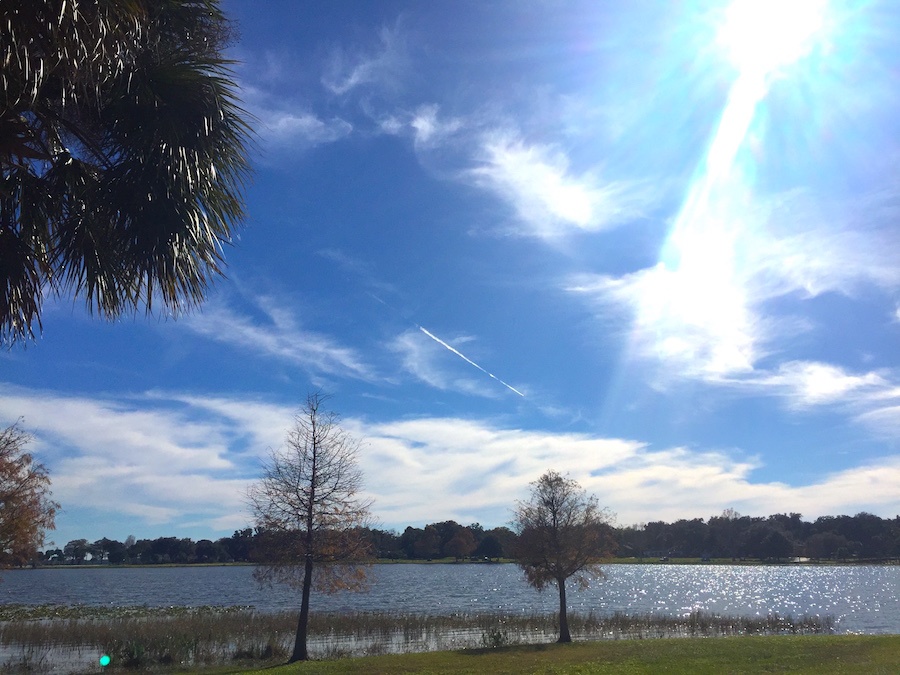 venetian gardens master plan for improvement in leesburg florida