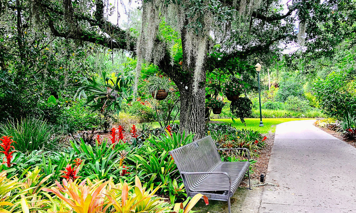 Leu Gardens Orlando Florida Audubon Park