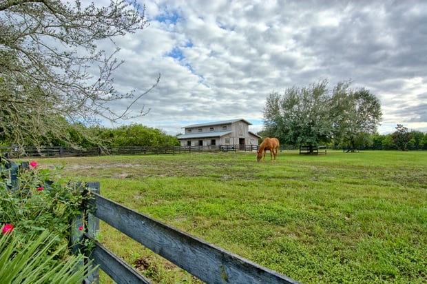 home_for_sale_with_acreage_in_the_golden_triangle.jpg