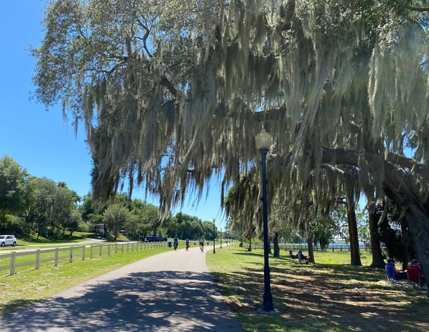 clermont, fl_south lake trail system