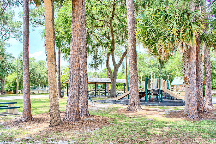 lake_monroe_park_sanford_florida.png