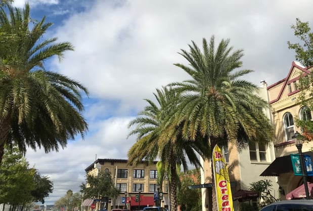 downtown eustis, fl-1