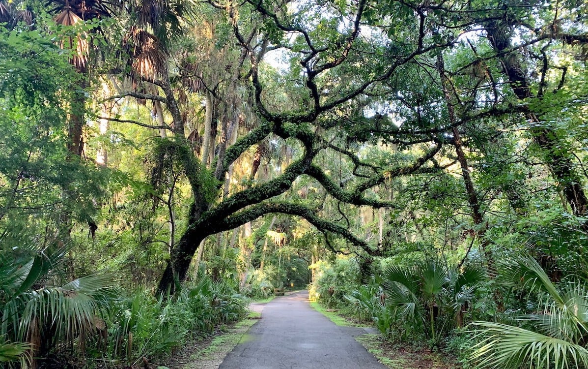 green springs park_florida scenic highways