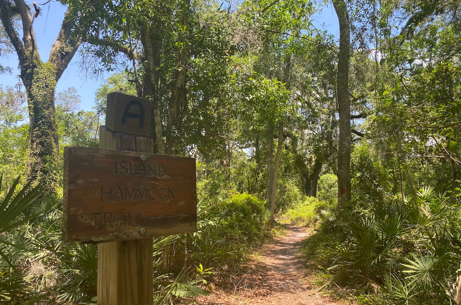 island hammock trail sign_flat island preserve_leesburg, fl