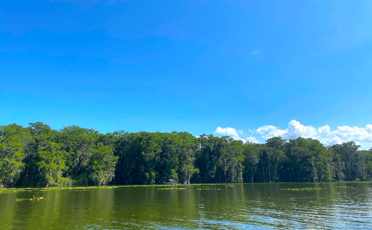 lake county floridas dead river