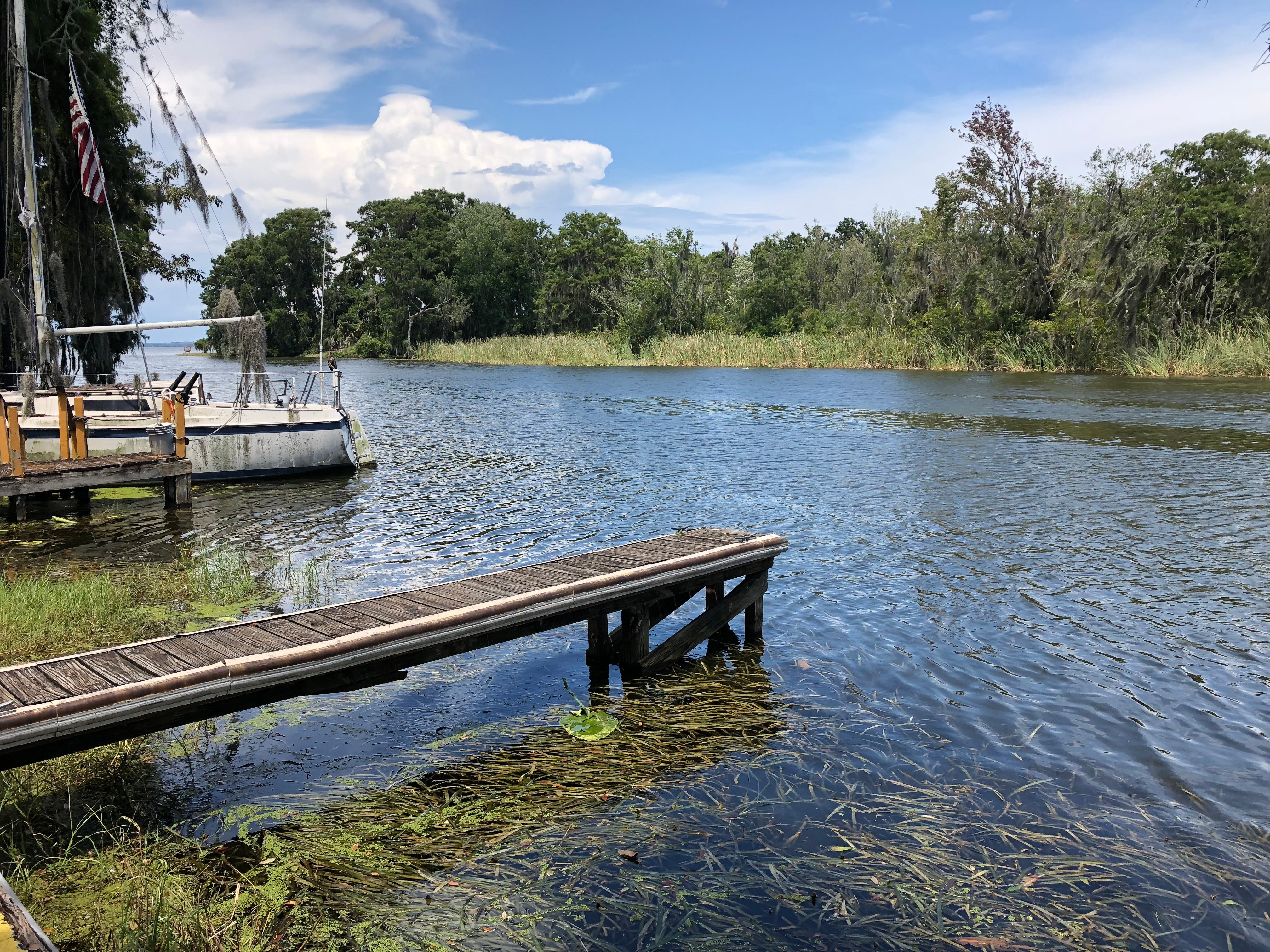 Dead River in Lake County Florida