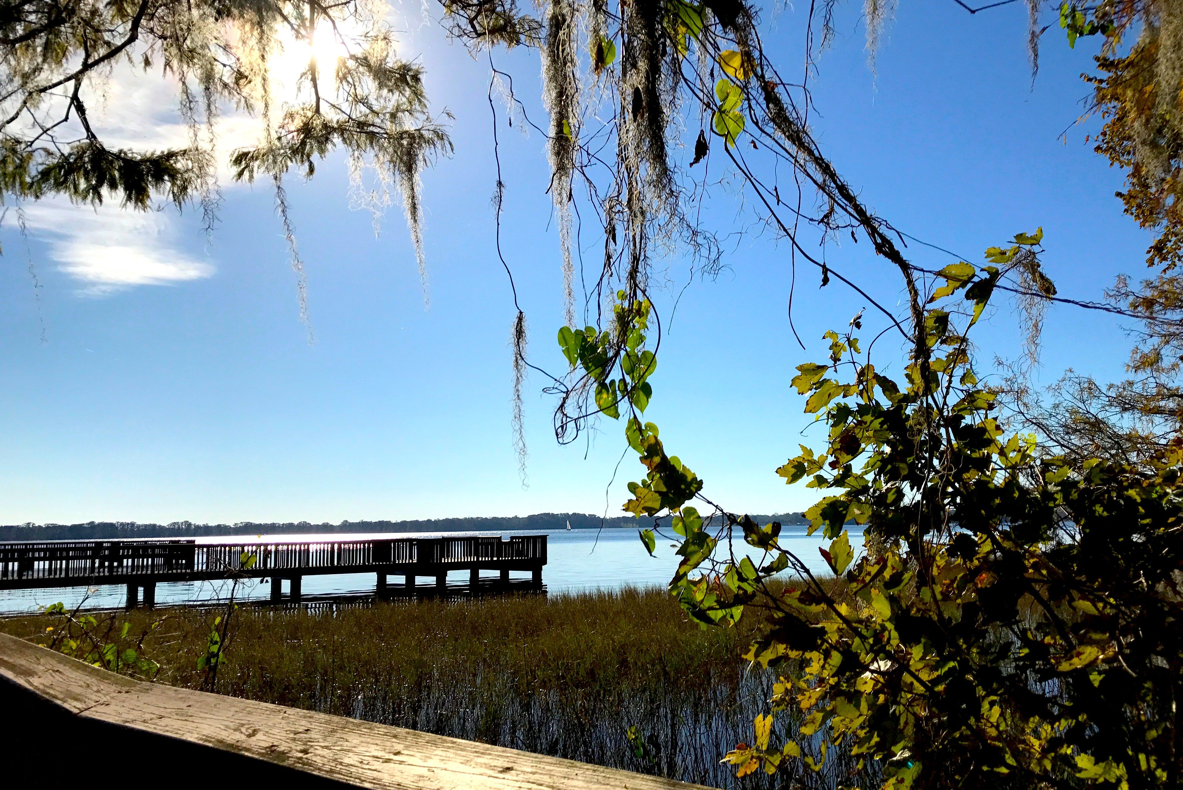 tavares florida hickory point recreation harris chain of lakes