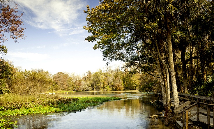 wekiwa springs seminole county florida