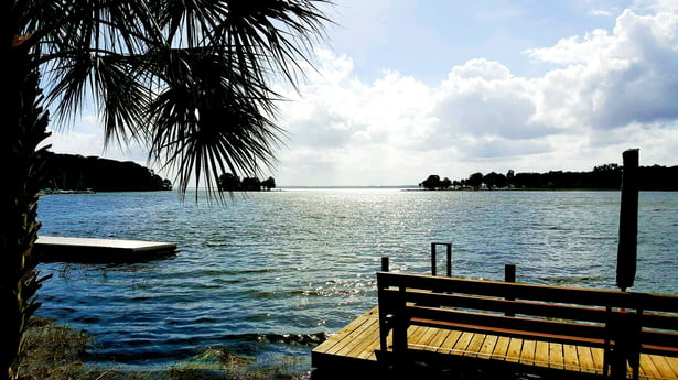 Florida_Lakefront_Real_Estate