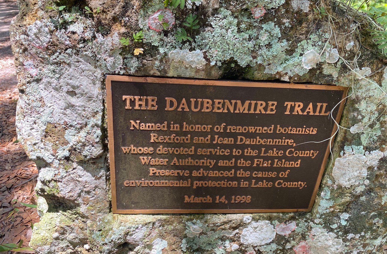 the daubenmire trail at the flat island preserve in leesburg, fl