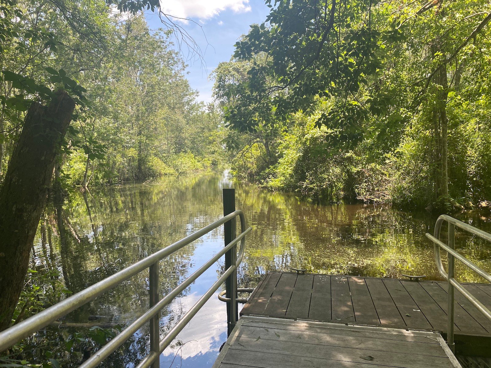 the dock at the flat island preserve in leesburg, fl