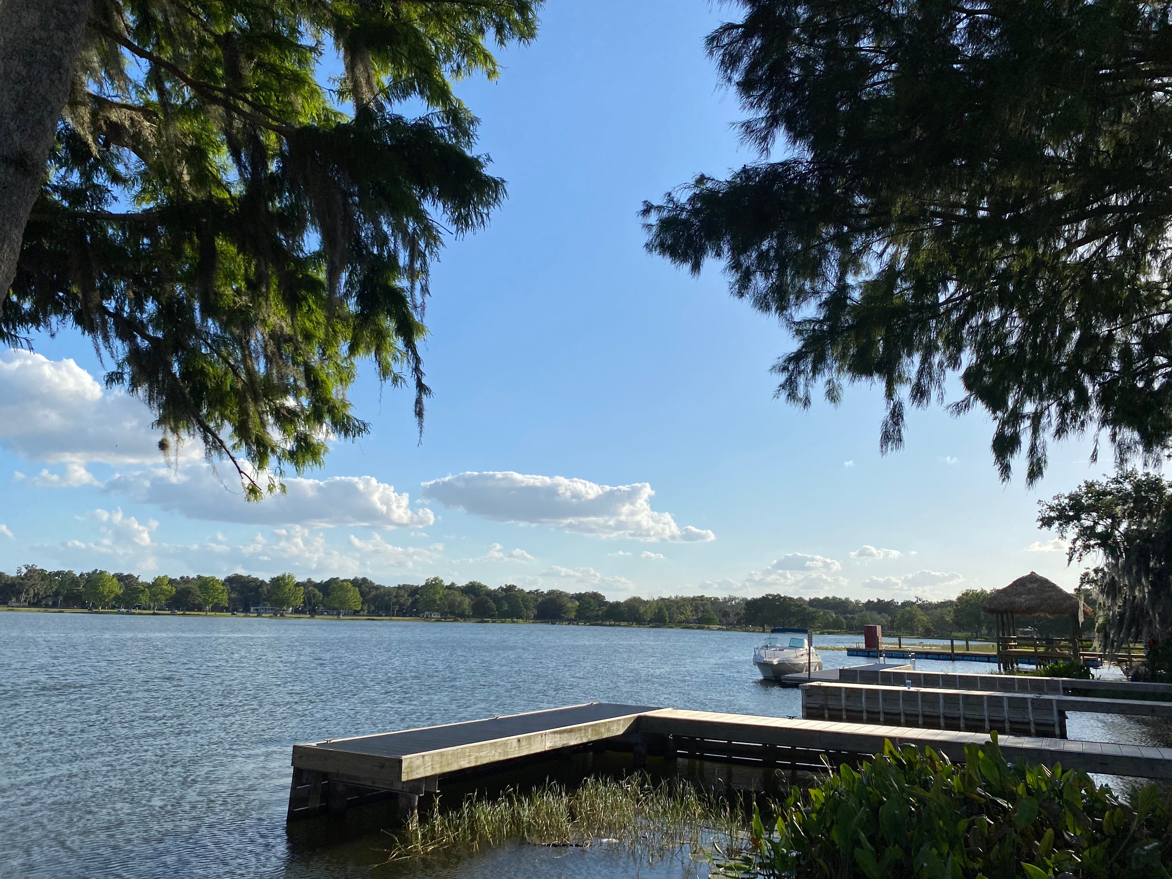 the leesburg boat club