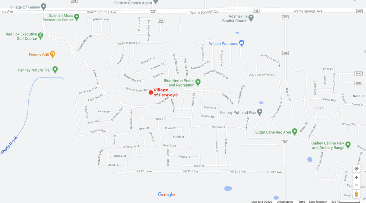 the village of fenney in the villages, fl community