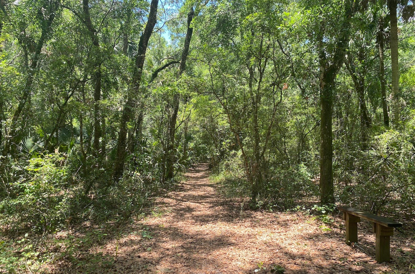 trails at leesburg, floridas flat island preserve